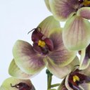 Ver imagem 3 de Arranjo de Orquídea Artificial Verde e Vinho Fernanda