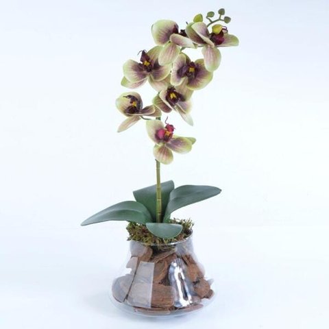Arranjo de Orquídea Artificial Verde e Vinho Fernanda