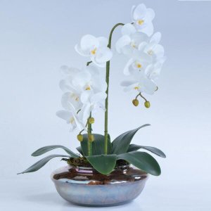 Arranjo de Orquídea Artificial em Terrário Pequeno Ambar