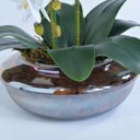 Ver imagem 3 de Arranjo de Orquídea Artificial em Terrário Pequeno Ambar