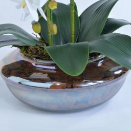 Arranjo de Orquídea Artificial em Terrário Pequeno Ambar - 3