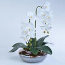 Ver imagem 2 de Arranjo de Orquídea Artificial em Terrário Pequeno Ambar