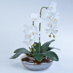 Arranjo de Orquídea Artificial em Terrário Pequeno Ambar - 2