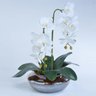 Arranjo de Orquídea Artificial em Terrário Pequeno Ambar - 2