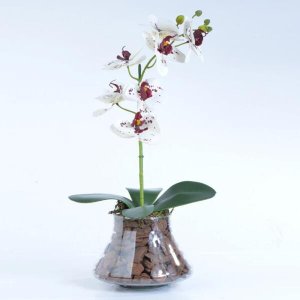 Arranjo de Orquídea Artificial Tigre de Silicone Raquel