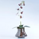 Ver imagem 3 de Arranjo de Orquídea Artificial Branca Miolo Vinho Paty