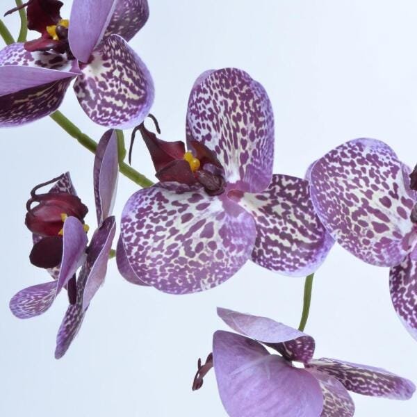 Arranjo de Orquídea Artificial Lilás e Vinho Michele - 3