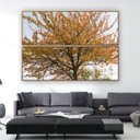 Ver imagem 1 de Quadro 170x120cm Árvore Ipê Amarelo Moldura Canvas