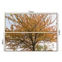 Ver imagem 2 de Quadro 170x120cm Árvore Ipê Amarelo Moldura Canvas