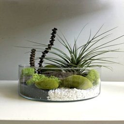 Vaso Cilindro para Terrário de suculentas, Centro de Mesa Vela Flutuantes - 2