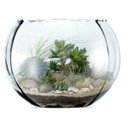 Ver imagem 2 de Aquário de Vidro Rigado, Terrario para Suculentas, Vaso para Decoração com Velas