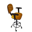 Ver imagem 2 de Cadeira Secretaria Caixa Alta - Braço com Regulagem de Altura - Estrela de Ferro com Rodízio - Aro -