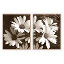 Ver imagem 1 de kit com 2 Quadros Decorativos Florais com Moldura e Vidro para Sala Quarto Escritório 72x92 - Art. Q