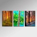 Ver imagem 1 de Placa Decorativa - Arvores Arte Destaque 20 X 30 Cm