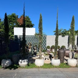 Vaso Bola de Concreto 45x40 M - Green Globe - 4
