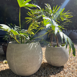 Vaso Bola de Concreto 45x40 M - Green Globe - 6