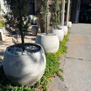 Ver imagem 5 de Vaso Bola de Concreto 45x40 M - Green Globe