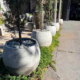 Vaso Bola de Concreto 45x40 M - Green Globe - 5