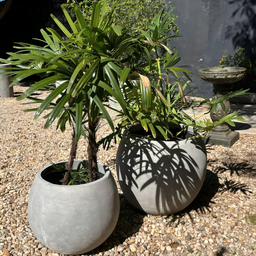 Vaso Bola de Concreto 45x40 M - Green Globe - 8
