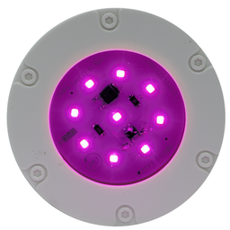Mini Refletor LED Decorativo Econômico Roxo - 110V - 1