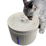 Fonte Bebedouro 2 Litros Agua Potavel Bebe Gato Cachorro Cao Pet Animais Domesticos Estimaçao Filtro - 7