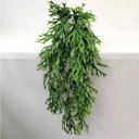 Ver imagem 1 de 1 Buquê Folhagem Pendente Para Vaso Muro Planta Realista