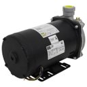 Ver imagem 1 de BOMBA CENTRIFUGA DANCOR CAM-W10 3 CV TRIFASICO 220V/380V