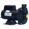 BOMBA CENTRIFUGA DANCOR CP-6R 1 MONOFASICA 127V/220/254V FC165 - 1