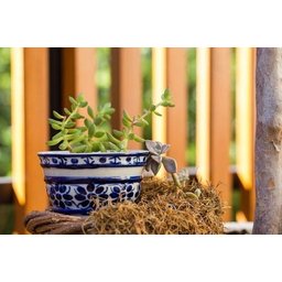 Kit Cachepot Decorativo Porcelana Azul E Branca Pintado Mão - 2