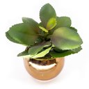 Ver imagem 3 de Vaso Decorativo Dourado com Suculenta Artificial Folha Baixa 15x8 cm F04 - D’Rossi Vaso com S