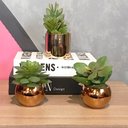 Ver imagem 2 de Vaso Decorativo Dourado com Suculenta Artificial Folha Baixa 15x8 cm F04 - D’Rossi Vaso com S