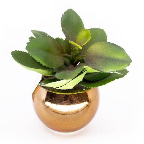 Vaso Decorativo Dourado com Suculenta Artificial Folha Baixa 15x8 cm F04 - D’Rossi Vaso com S