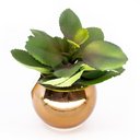Ver imagem 1 de Vaso Decorativo Dourado com Suculenta Artificial Folha Baixa 15x8 cm F04 - D’Rossi Vaso com S