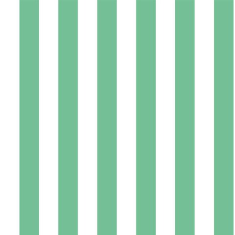 Papel de Parede Listrado Verde Claro - 3,00x0,50m