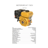 Motor Buffalo Gasolina Bfg 4t 7hp Plus - 2