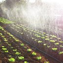 Ver imagem 3 de Kit mangueira Santeno 1 com conexões união 100m