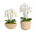 Ver imagem 1 de Kit 2 Vasos Decorativos para Plantas ou Cachepot para Centro de Mesa (beta e Bacia)