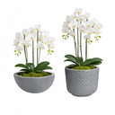 Ver imagem 6 de Kit 2 Vasos Decorativos para Plantas ou Cachepot para Centro de Mesa (beta e Bacia)