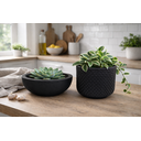 Ver imagem 7 de Kit 2 Vasos Decorativos para Plantas ou Cachepot para Centro de Mesa (beta e Bacia)