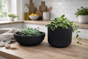 Ver imagem 7 de Kit 2 Vasos Decorativos para Plantas ou Cachepot para Centro de Mesa (beta e Bacia)