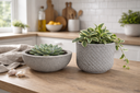 Ver imagem 5 de Kit 2 Vasos Decorativos para Plantas ou Cachepot para Centro de Mesa (beta e Bacia)
