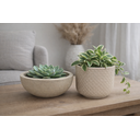 Ver imagem 2 de Kit 2 Vasos Decorativos para Plantas ou Cachepot para Centro de Mesa (beta e Bacia)