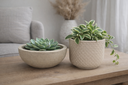 Ver imagem 2 de Kit 2 Vasos Decorativos para Plantas ou Cachepot para Centro de Mesa (beta e Bacia)