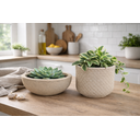 Ver imagem 3 de Kit 2 Vasos Decorativos para Plantas ou Cachepot para Centro de Mesa (beta e Bacia)