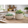 Kit 2 Vasos Decorativos para Plantas ou Cachepot para Centro de Mesa (beta e Bacia) - 3