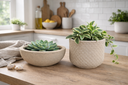 Ver imagem 3 de Kit 2 Vasos Decorativos para Plantas ou Cachepot para Centro de Mesa (beta e Bacia)