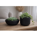 Ver mais imagens de Kit 2 Vasos Decorativos para Plantas ou Cachepot para Centro de Mesa (beta e Bacia)