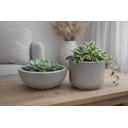 Ver imagem 4 de Kit 2 Vasos Decorativos para Plantas ou Cachepot para Centro de Mesa (beta e Bacia)