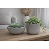 Kit 2 Vasos Decorativos para Plantas ou Cachepot para Centro de Mesa (beta e Bacia) - 4