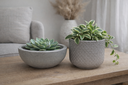 Ver imagem 4 de Kit 2 Vasos Decorativos para Plantas ou Cachepot para Centro de Mesa (beta e Bacia)